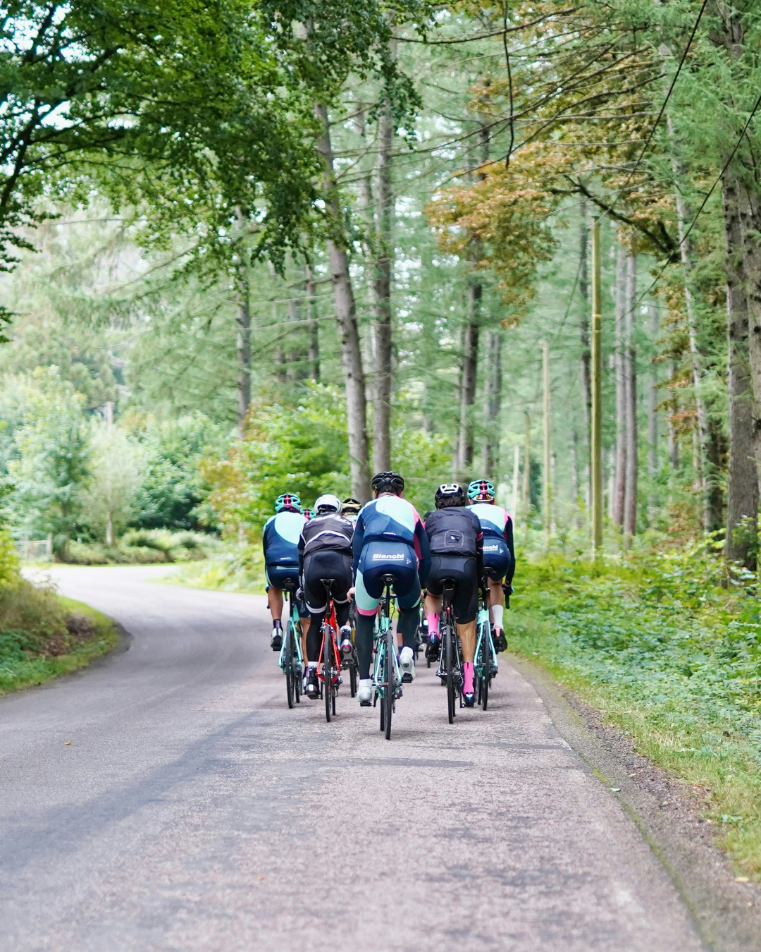 Cicloturistas en el Valle del Tiétar