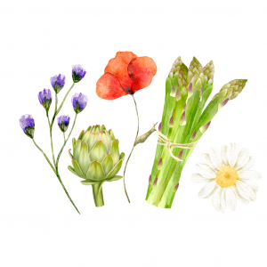 Dibujo carta de primavera 2026