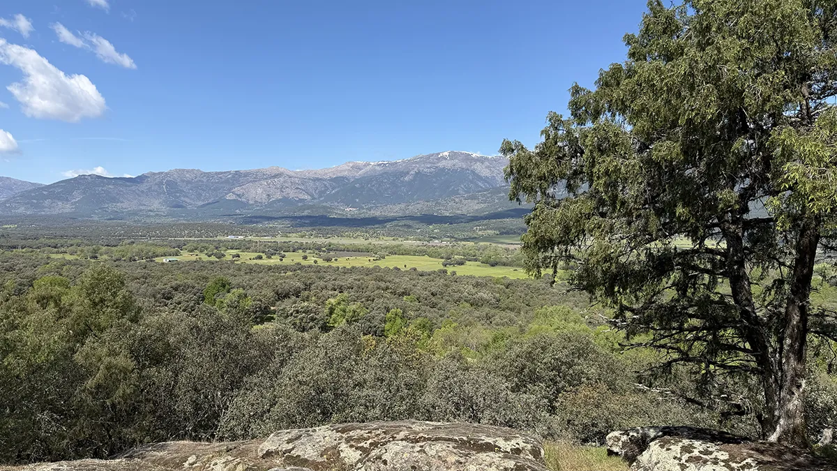 Paisaje del Valle del Tiétar con la Sierra de Gredos al fondo. Autor: Isa Nieto