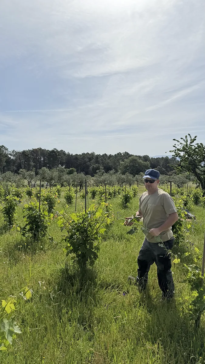 Urbano, bodeguero de Huellas del Tiétar mostrándonos Viña Eugenio, Sierra de Gredos