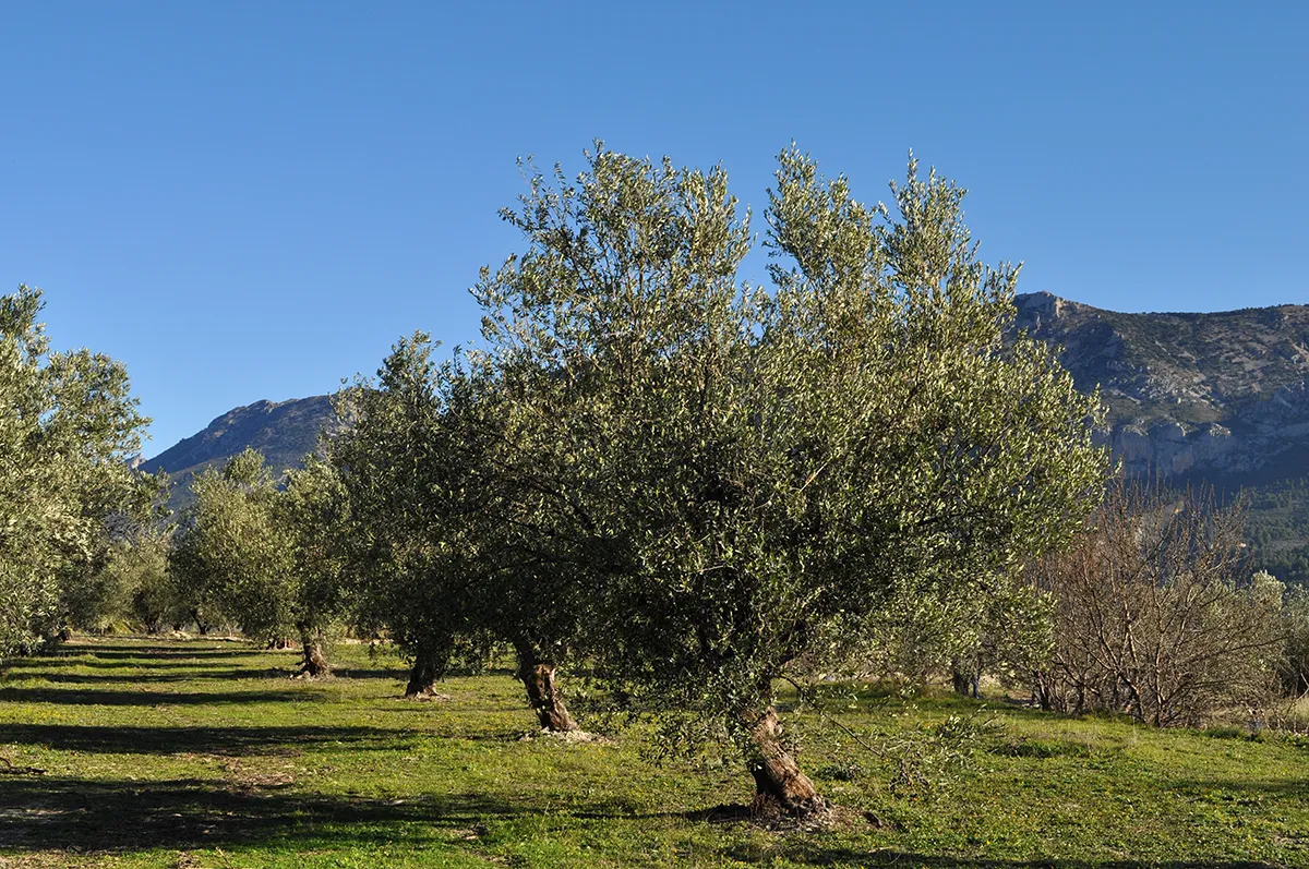 Foto2-andalucia-avila-huellas-tietar