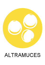 alergeno_altramuces