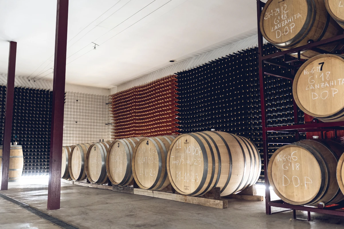 Bodega a pequeña escala en el Valle del Tiétar.