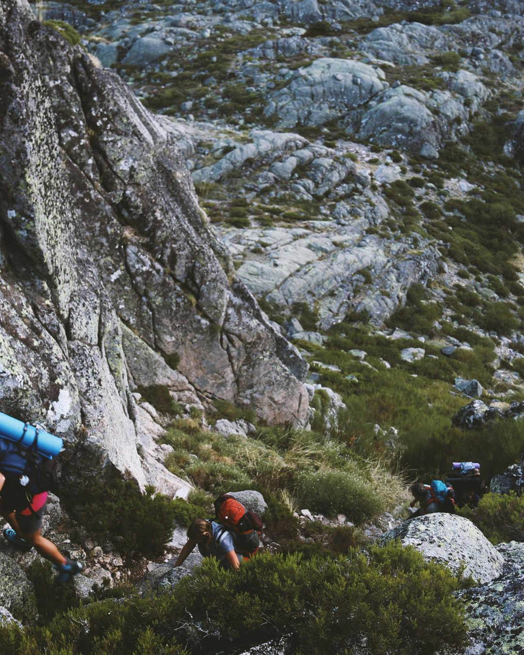 Ruta de senderismo en el Valle del Tiétar, con vistas de la Sierra de Gredos y la vegetación local.