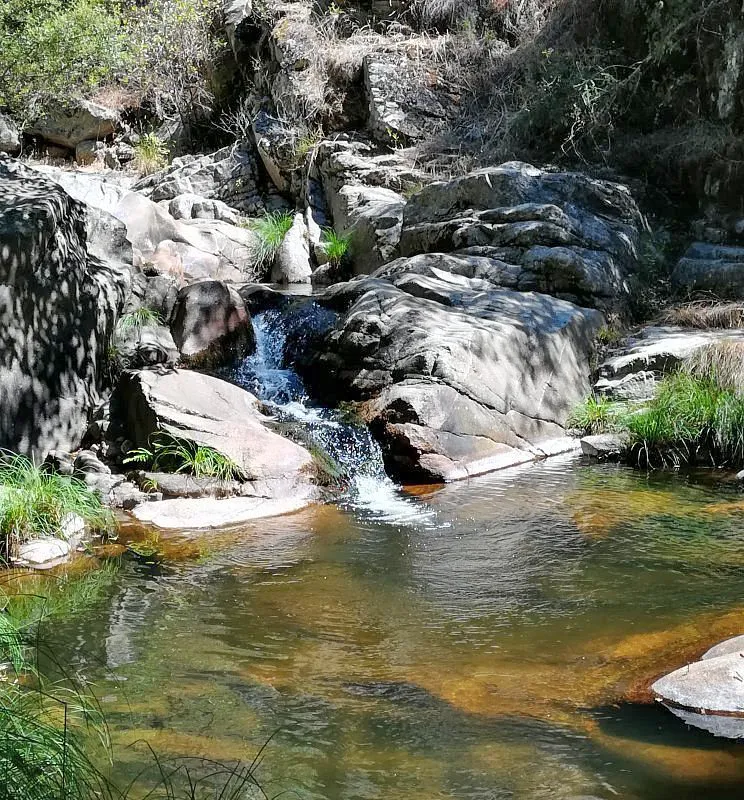 vista-piscina-natural-lanzahita