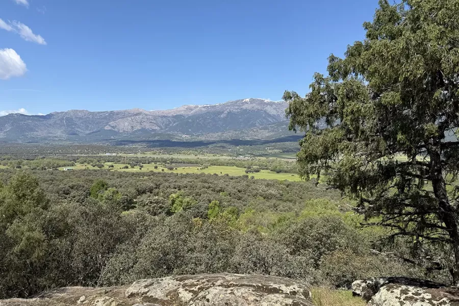 Paisaje del Valle del Tiétar con la Sierra de Gredos al fondo. Autor: Isa Nieto