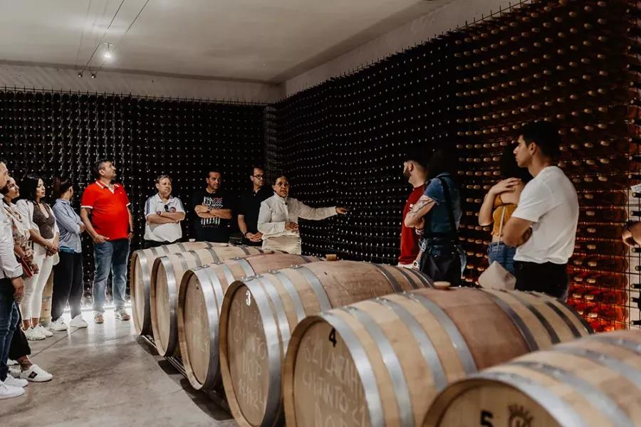 Visita bodega Huellas del Tietar