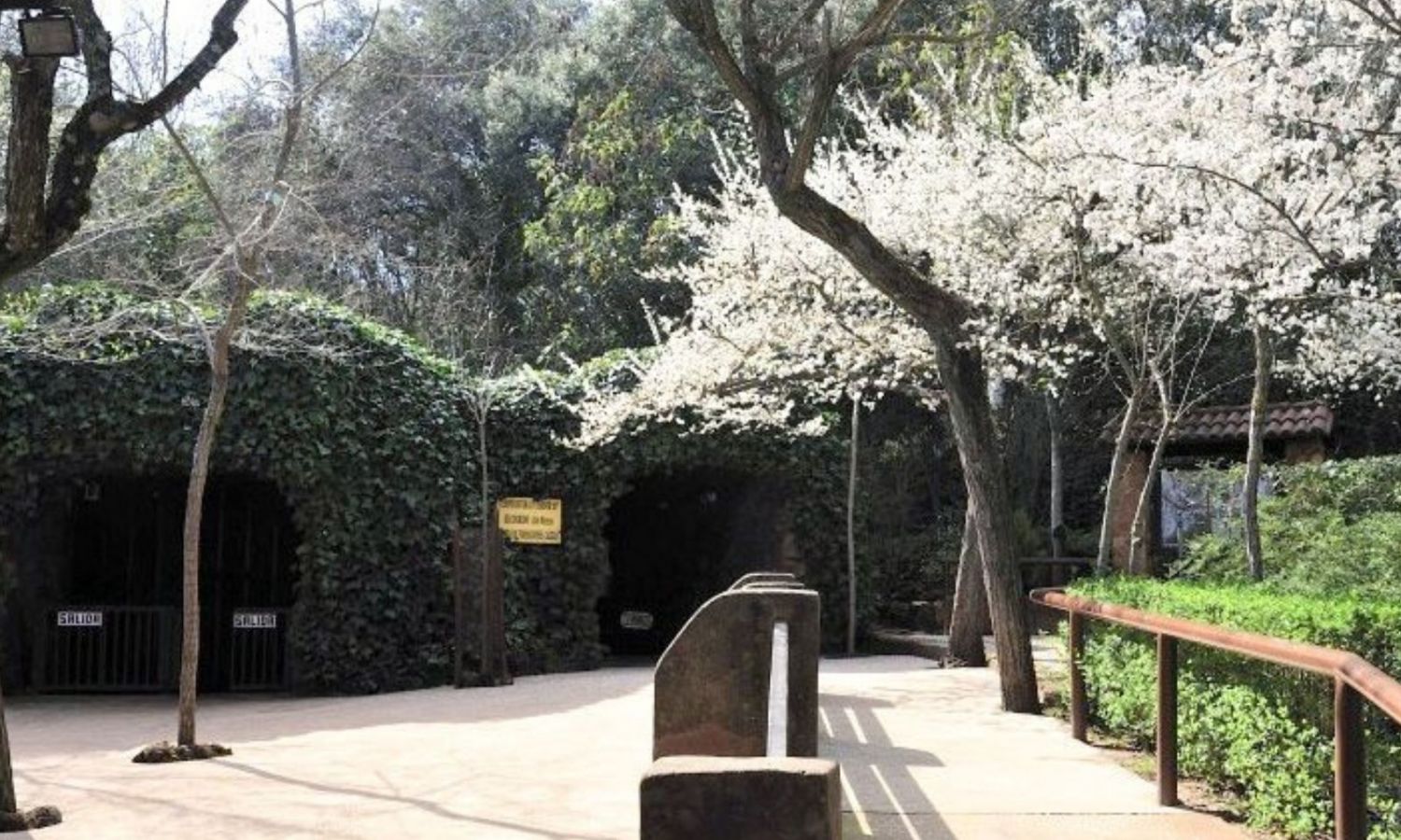 Cuevas del Águila restaurante